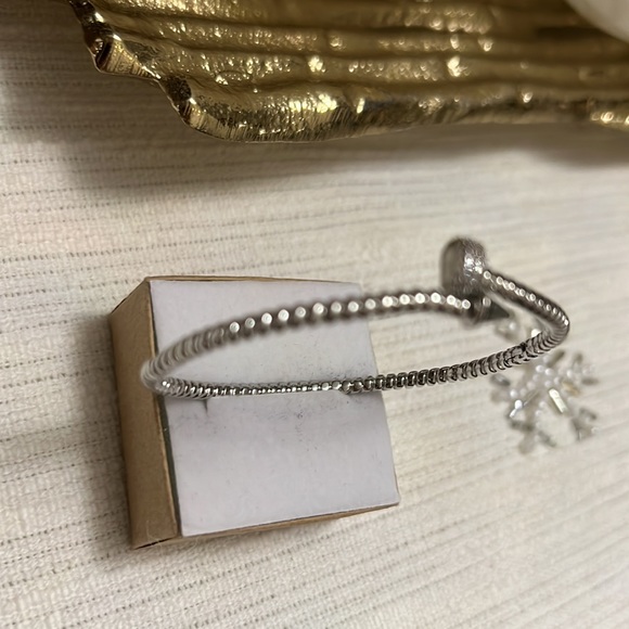 Screw Roped Detail Bangle 14k Silver Plated - Picture 3 of 11